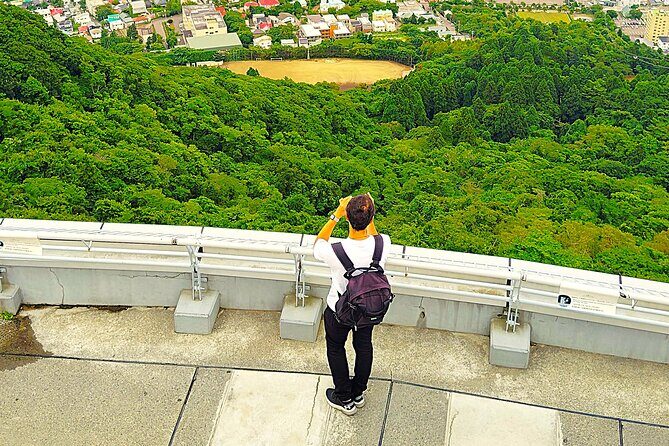 Hakodate: Historic Port Walk & Mt. Hakodate Panoramic Views - Final Thoughts