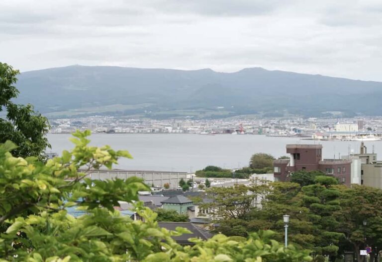 Hakodate/Hokkaido Private Tour with Local Guide - Who Is This Tour Best For?