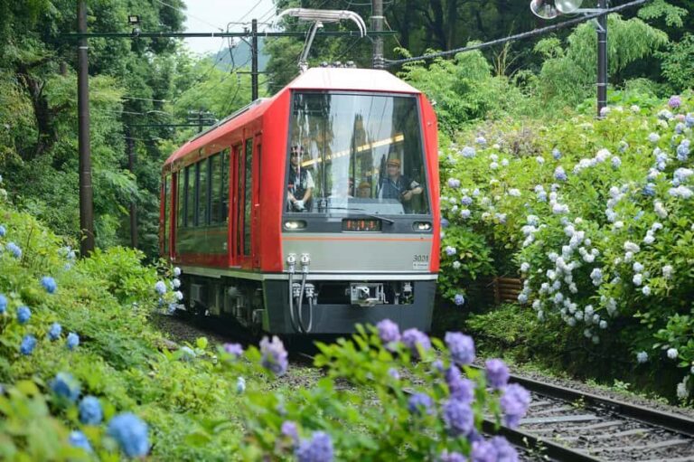 Hakone and Kamakura: 3-day Rail Pass - What’s Included and How Does It Work?