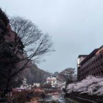 Hakone Full-Day Private Tour Hotel Pickup and Highlights - Transportation & Practical Details