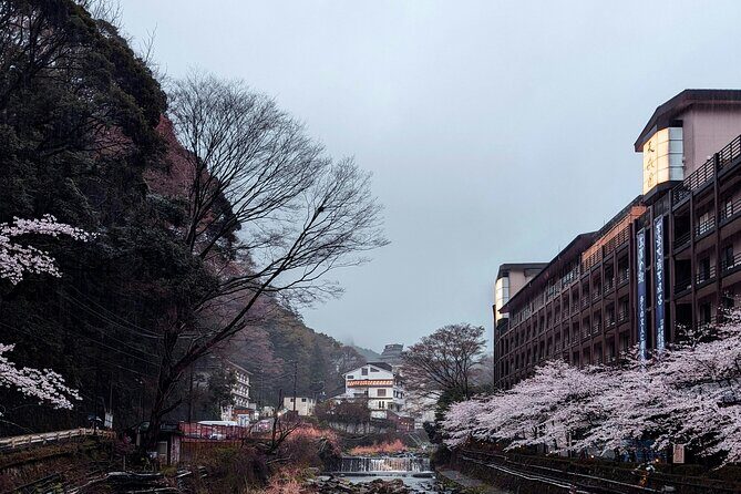 Hakone Full-Day Private Tour Hotel Pickup and Highlights - Transportation & Practical Details