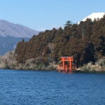 Hakone one-day tour with views and Onsen hot spring! - Who Should Consider This Tour?