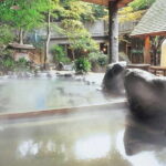 Hakone Private Tour: Onsen, Lake Ashi Cruise & Mt. Fuji Views - How the Tour Offers Good Value