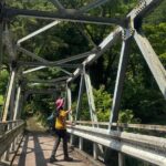 Hakone Valley Hike, Forest Bathing and Wagashi shop (Half-day) - Who Is This Tour Best For?