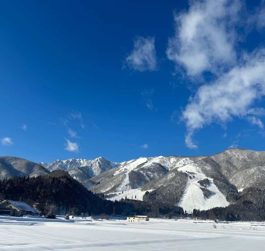 Hakuba: Onsen and Izakaya Night Tour with Dinner - Practical Considerations and Value