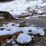 Hakuba: Snow Monkeys and Alpine Escape Private Tour - Why This Tour Offers Great Value