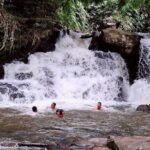 Half Day Afternoon Elephant Observation Tour in Chiang Mai - Transportation and Group Size