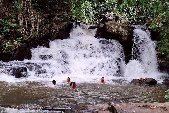Half Day Afternoon Elephant Observation Tour in Chiang Mai - Transportation and Group Size