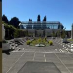 Half-Day Auckland City Tour  The City of Sails Uncovered - The Experience: What It Feels Like