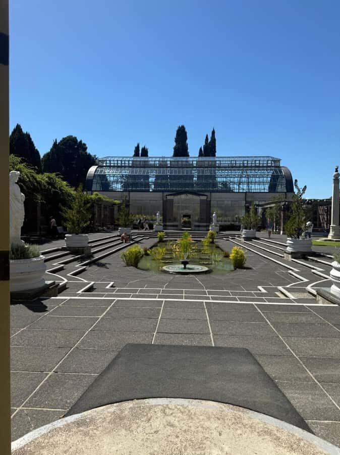 Half-Day Auckland City Tour  The City of Sails Uncovered - The Experience: What It Feels Like