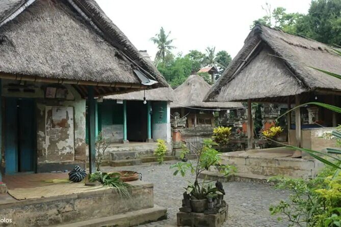 Half Day Bali Private Tour - Transportation and Practical Details