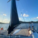 Half day catamaran sailing in the Sailinity Lagoon - Detailed Breakdown of the Experience