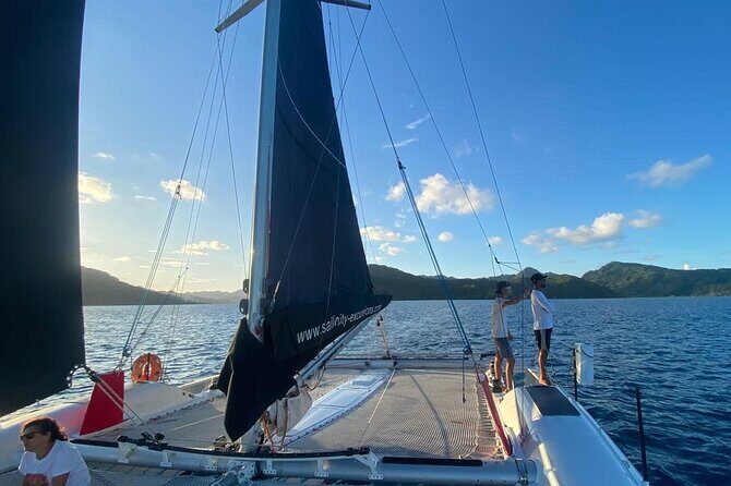 Half day catamaran sailing in the Sailinity Lagoon - Detailed Breakdown of the Experience
