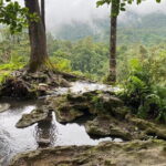 Half Day Chiang Mai Sticky Waterfall and Hotel Transfer - Why This Tour Might Be Perfect for You