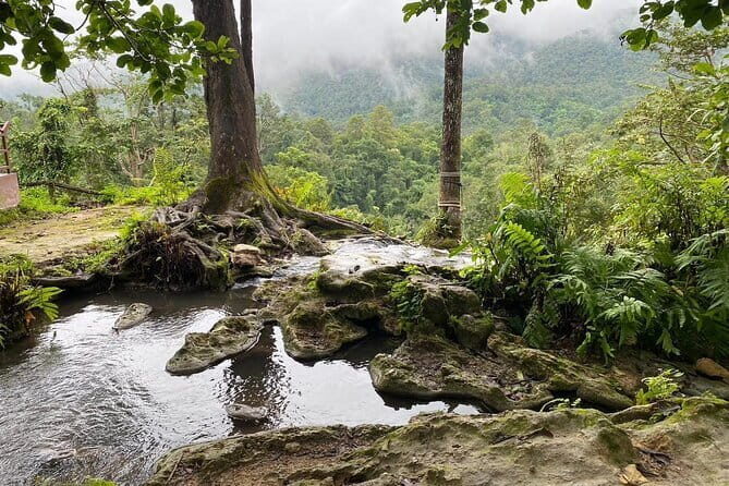 Half Day Chiang Mai Sticky Waterfall and Hotel Transfer - Why This Tour Might Be Perfect for You