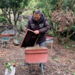 Half-Day Cycling Tour on Cat Ba Island - Who Will Love This Tour?