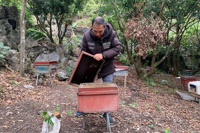 Half-Day Cycling Tour on Cat Ba Island - Who Will Love This Tour?