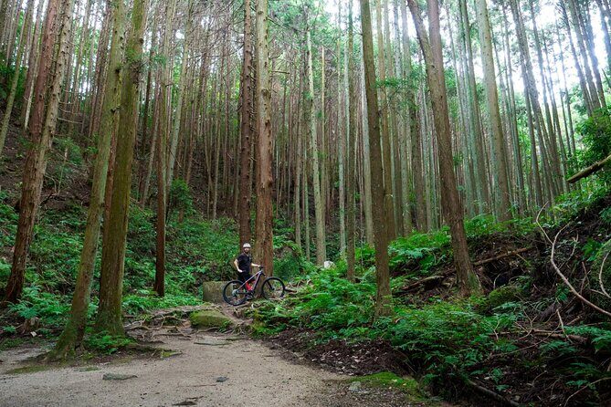 Half Day E Bike Tour in Kasagi Countryside - Exploring the Kasagi Countryside: A Detailed Breakdown