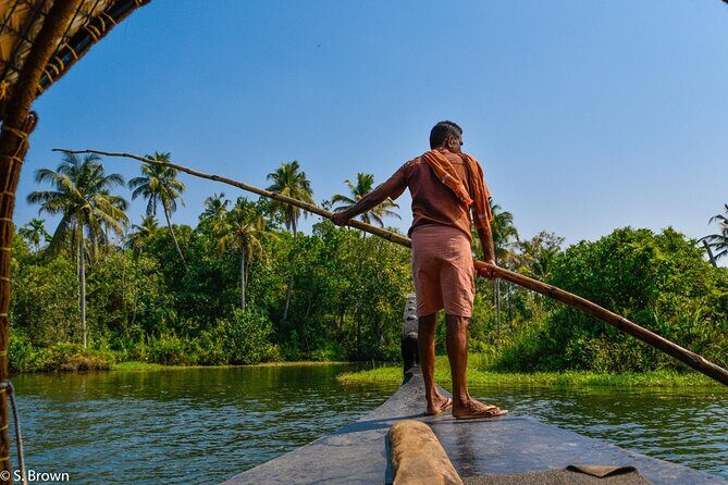 Half-Day Eco Punting and Village Backwater Cruise from Cochin - The Practicalities