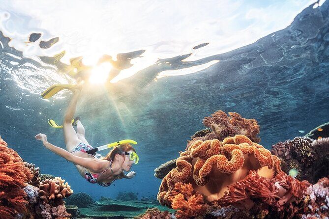 Half Day Guided Snorkeling in Negombo - The Equipment and Safety Measures