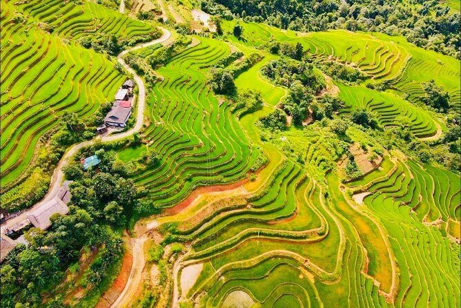 Half Day Ha Giang Jeep Tour: Rice Terrace + Waterfall + City - The Real Experience: Authenticity and Practicality