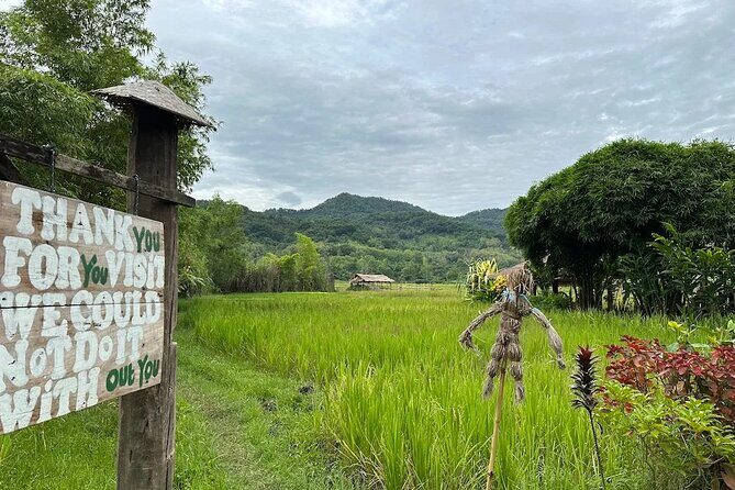 Half Day Hands On Rice Learning Experience in Luang Prabang - Who Will Love This Tour?