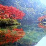 Half-Day Hangzhou Jiuxi Stream and Tea Plantation Experience - Walking Through Longjing’s Tea Terraces