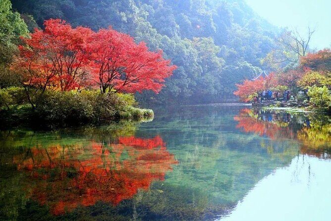 Half-Day Hangzhou Jiuxi Stream and Tea Plantation Experience - Walking Through Longjing’s Tea Terraces