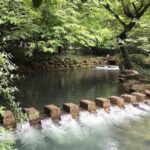 Half-Day Hangzhou Nine Creeks Hiking Tour with Tea Plantation Experience - A Closer Look at the Itinerary