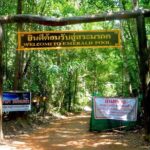 Half-Day Jungle Tour Including Crystal Pool and Krabi Hot Springs - Who Will Enjoy This Tour?