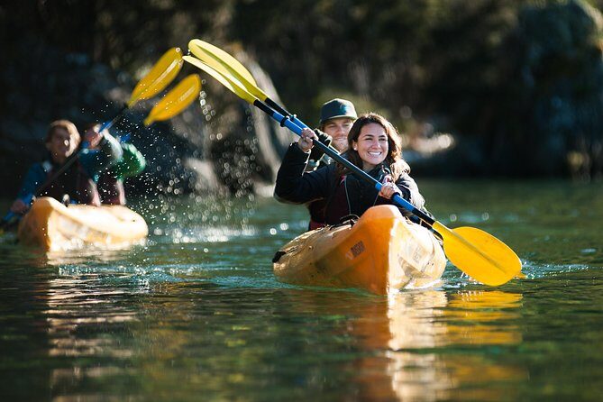 Half-Day Kayak Tour on Lake Wanaka - What to Expect from the Itinerary