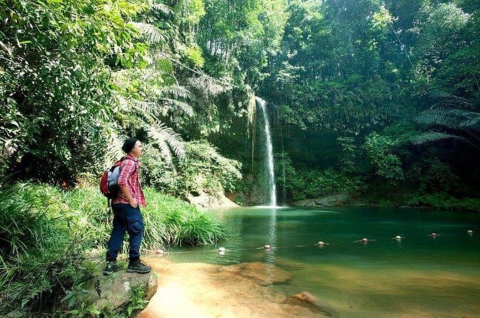 Half-Day Lambir Hills National Park Tour from Miri - FAQs