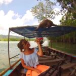 Half Day Mangrove Forest Boat Tour with Lunch or Dinner - What Makes This Tour Stand Out