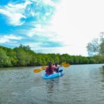 Half Day Mangrove Kayaking Adventure Tour From Koh Lanta - Who Will Enjoy This Tour?