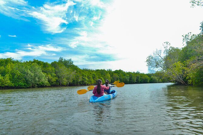 Half Day Mangrove Kayaking Adventure Tour From Koh Lanta - Who Will Enjoy This Tour?