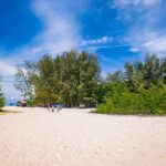 Half-Day Morning Bamboo Island Tour from Phi Phi by Longtail Boat - The Practical Aspects and What You Can Expect