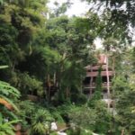 Half Day Morning Wat Pha Lat & Wat Phra That Doi Suthep Tour - What Sets This Tour Apart?