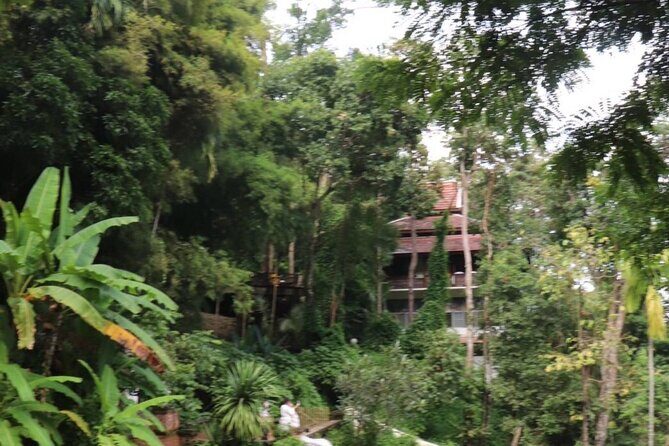 Half Day Morning Wat Pha Lat & Wat Phra That Doi Suthep Tour - What Sets This Tour Apart?