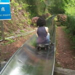 Half-Day Mutianyu Great Wall Tour with the Chairlift up and Toboggan down - What to Expect During Your Visit