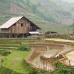 Half-Day Private Muong Hoa Valley Trek and Ethnic Tribes Tour - Final Thoughts: Is This Tour Worth It?
