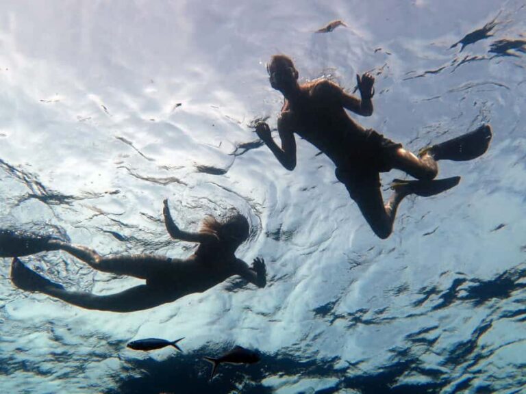 Half-Day private Snorkeling Adventure on a Speedboat - What Sets This Tour Apart