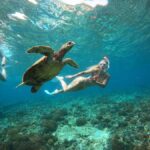 Half Day Private Snorkeling Swim With Turtles Free Gopro - Why This Tour Offers Great Value
