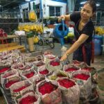 Half Day Special City Tour from Bangkok - Authentic Insights from Reviewers