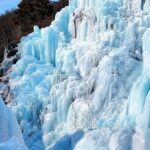 Half Day Strawberry & Snow Sled Tour in Eobi Seoul - Practical Tips and Insights