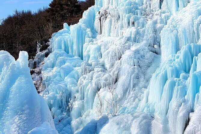 Half Day Strawberry & Snow Sled Tour in Eobi Seoul - Practical Tips and Insights