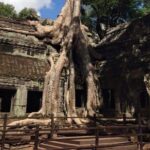 Half-Day Ta Prohm and Banteay Kdei Tour - An In-Depth Look at the Tour