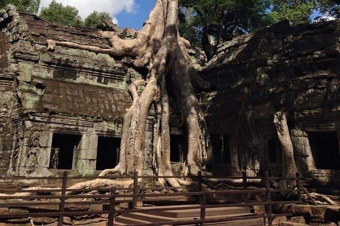 Half-Day Ta Prohm and Banteay Kdei Tour - An In-Depth Look at the Tour