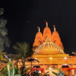 Half Day Temple Tour Including Hotel Pickup and Drop in Delhi - Why This Tour Works Well