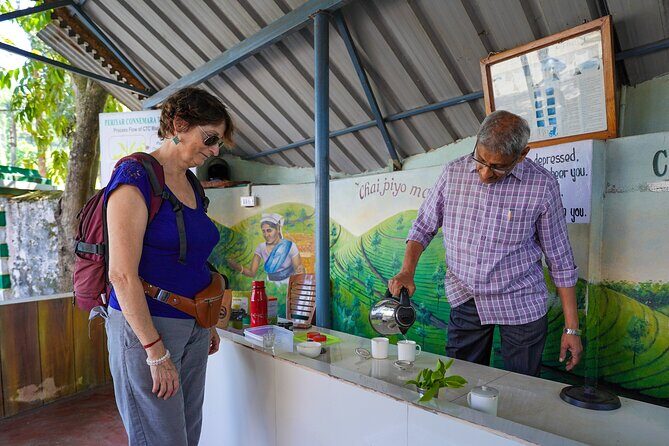 Half Day Thekkady Tea Trail Tour - What to Expect on the Tour