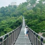 [Half-Day Tour] Aegibong DMZ Eco Park & Suspension Bridge - Deep Dive into the Experience: Why It Matters